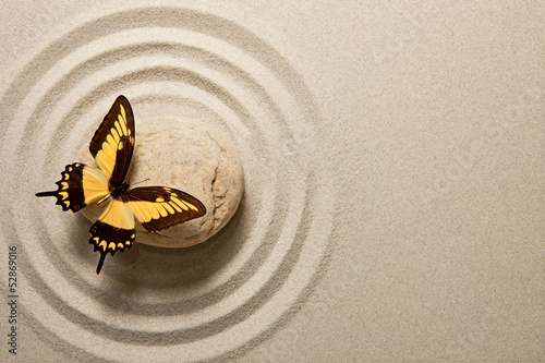 Fototapeta na wymiar Zen stone with butterfly