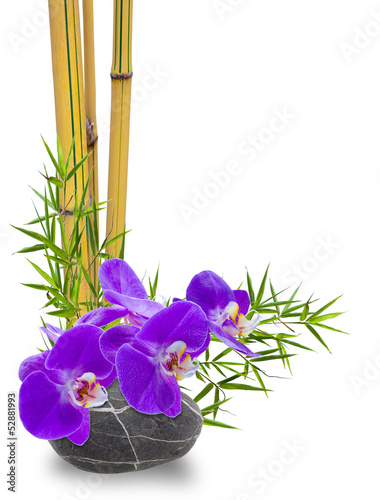 Board z aluminiowym obramowaniem Bambus, orchidea i zen kamyk