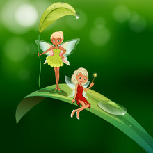 Two Playful Fairies