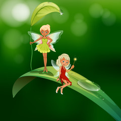 Wall Mural - Two playful fairies