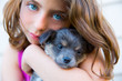 girl hug a little puppy dog gray hairy chihuahua