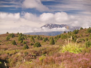 Canvas Print - Mount Raupehu in New Zealand