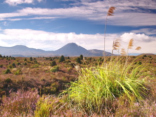 Sticker - Mount Ngauruhoe in New Zealand