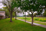 Fototapeta Las - Creek park with track and green lawn grass