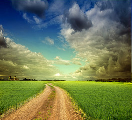 Sticker - Summer landscape with green grass, road and clouds