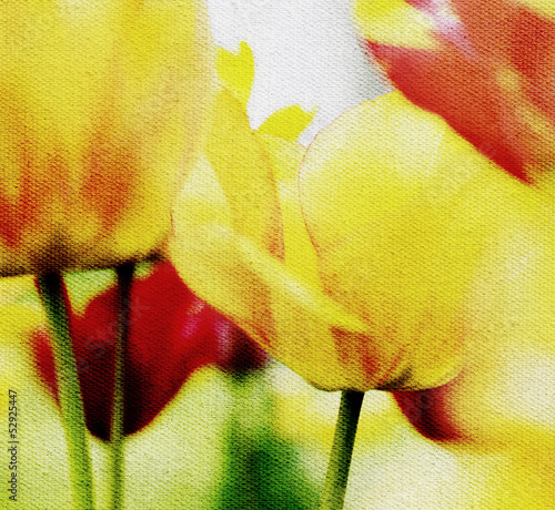 Fototapeta na wymiar tulpen motiv leinwandstruktur