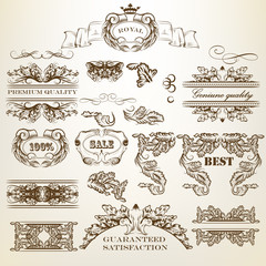Wall Mural - Set of vector calligraphic design elements and page decorations