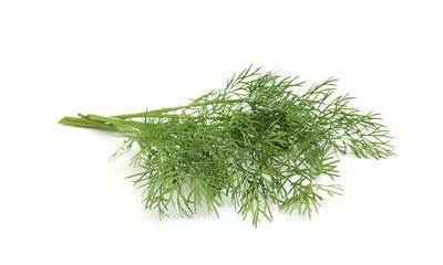 Wall Mural - Fresh dill twig .