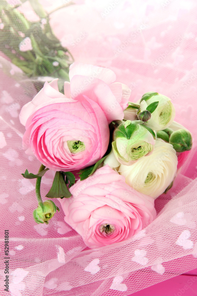 Ranunculus (persian buttercups), on pink cloth