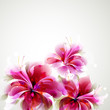 Tender background with growing abstract flowers 