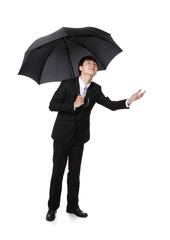 Poster - Business Man with an umbrella