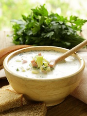 Wall Mural - Traditional Russian cold soup with vegetables (okroshka)