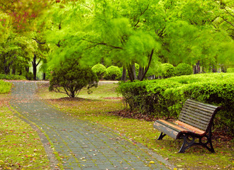 Green city park. Shanghai, China