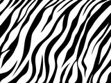 Fototapeta Fototapeta z zebrą - skin zebra