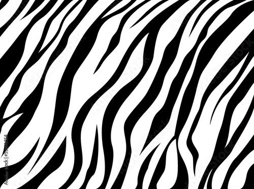 Nowoczesny obraz na płótnie skin zebra