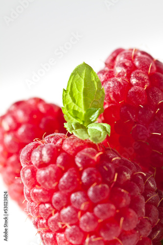 Tapeta ścienna na wymiar Raspberry fruit closeup isolated on white background 