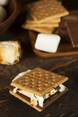 Canvas Print - Homemade S'more with chocolate and marshmallow