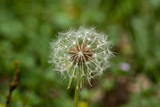 160_f_53054273_vvg7f1ib0cuz6imkdxgh4a7vjerssted