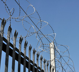 Razor Wire Fence