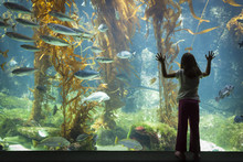 Young Girl Standing Up Against Large Aquarium Observation Glass