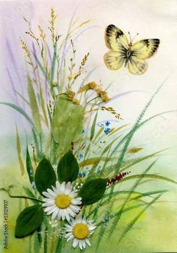 Tapeta ścienna Dzikie kwiaty i motyl