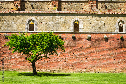 Lonely tree on a background...