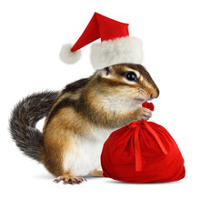 Chipmunk In Red Santa Claus Hat With Santas Bag