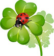 clover and ladybug