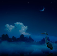 Art Fantasy Blue Night  Background