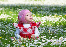 Little Baby On Green Grass And Flowers