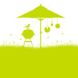 Barbecue Summer Meadow Background