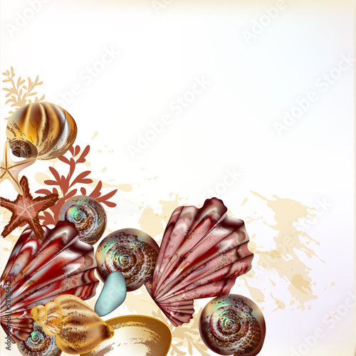 Naklejka na kafelki Beautiful sea background with shells