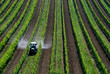 Pestizide sprühen mit Traktor im Weingarten
