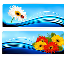 Poster - Nature banners with color flowers. Vector.