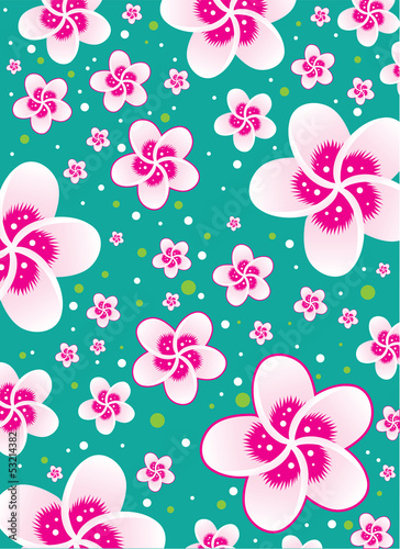 Board z aluminiowym obramowaniem Tapeta kwiat sakura