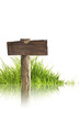 © jannoon028 - Wood sign and grass with reflection isolated on a white backgrou
