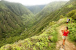 © Maridav - Hiking people on Hawaii, Waihee ridge trail, Maui