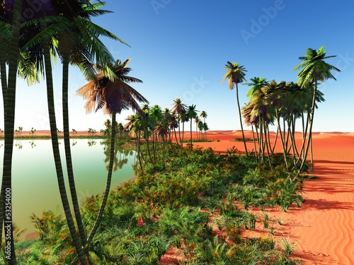 Naklejka dekoracyjna African oasis