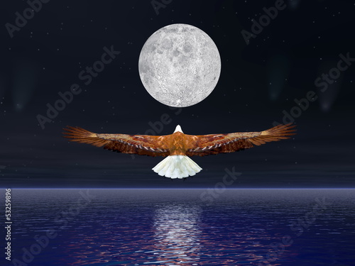 Naklejka samoprzylepna Orzeł lecący do księżyca - 3d render