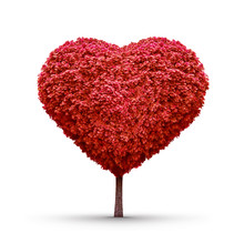 Heart-shaped Red Tree Isolated