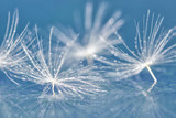 160_f_53278804_v1xxfw9dxhf72ejaxmpwsc7icm85tr0f