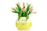 Fototapeta Tulipany - Tulipany na białym tle