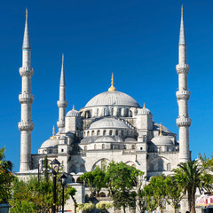 Poster - Blue Mosque (Sultanahmet Camii) under blue sky, Istanbul, Turkey. 