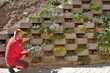 man, gardener relies flowers in retaining concrete wall