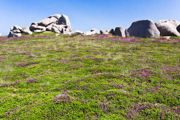 Poster - moorland with stone boulders in Brittany