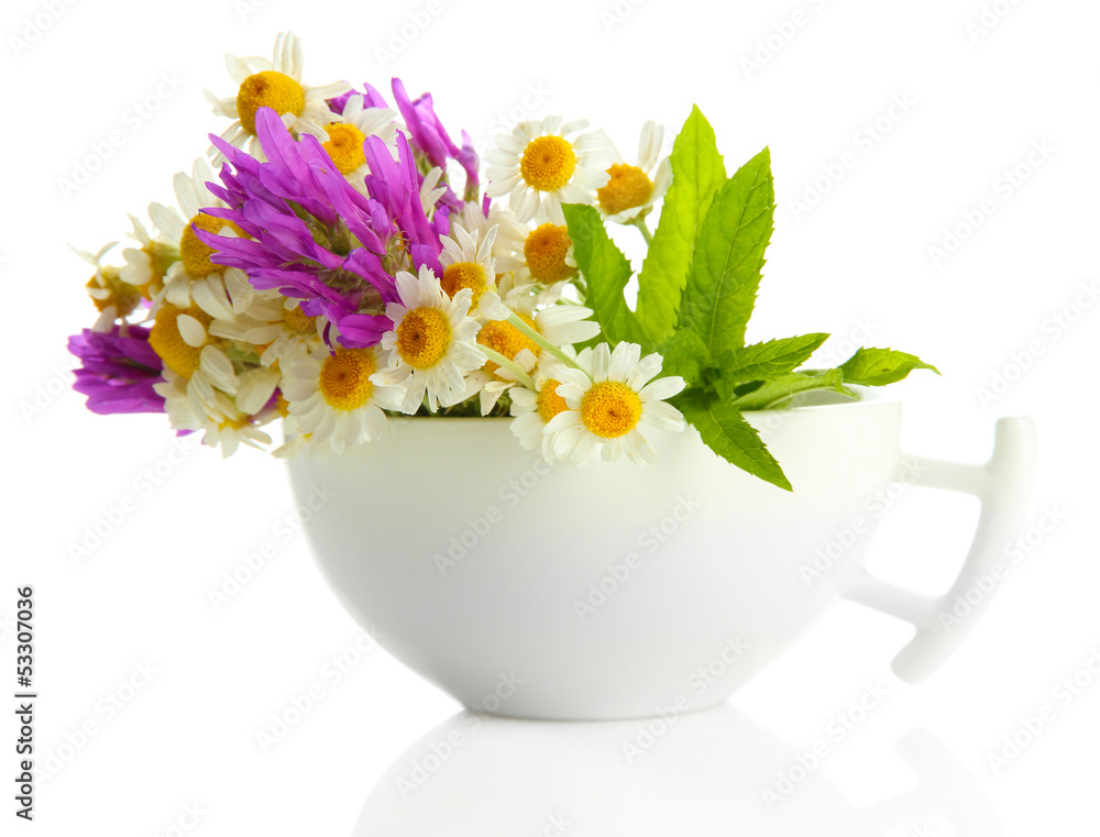 Beautiful wild flowers and mint in cup, isolated on white