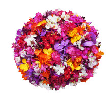 Orchid Flower Ball On A White Background - With Clipping Path