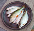 raw fish in an old ceramic plate