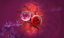 Cancer Cell