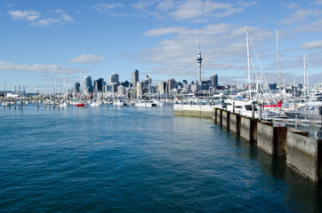 Wall Mural - Westhaven Marina - Auckland